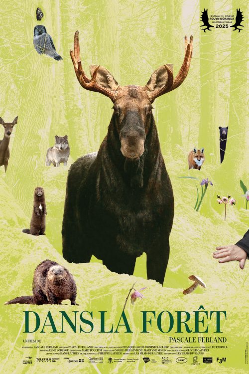 DansLaForet-Web-FR-1-500x750